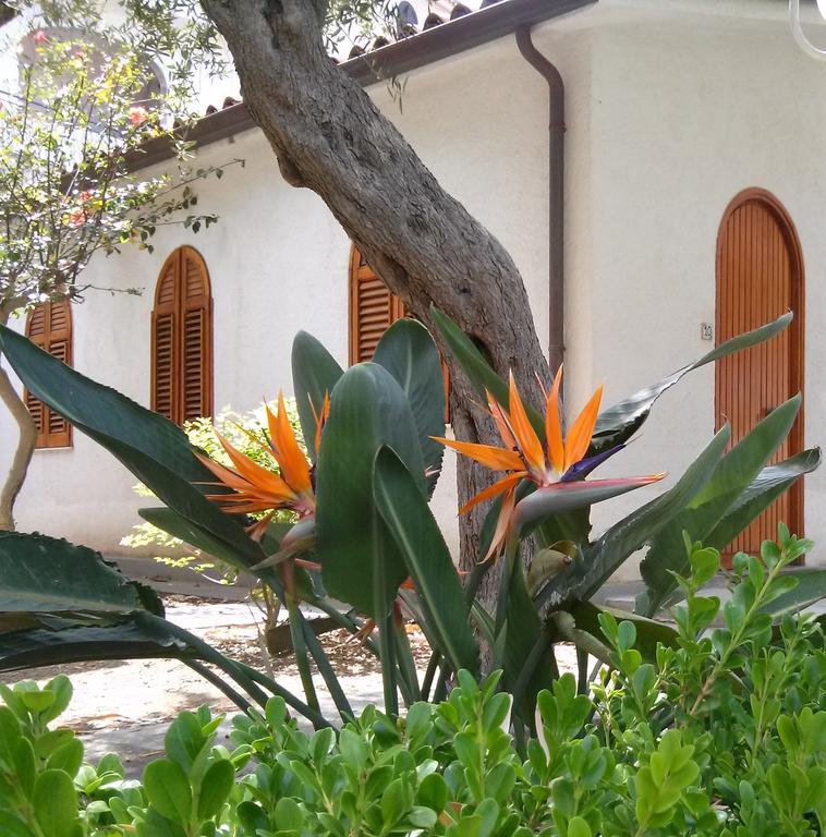 Double Room,894645541:JPEG